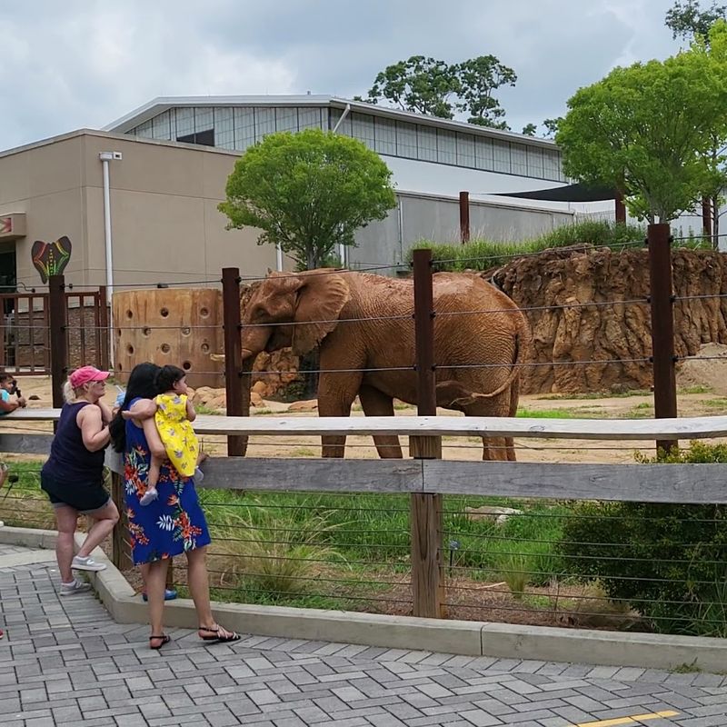 Zoo Atlanta &mdash; Atlanta