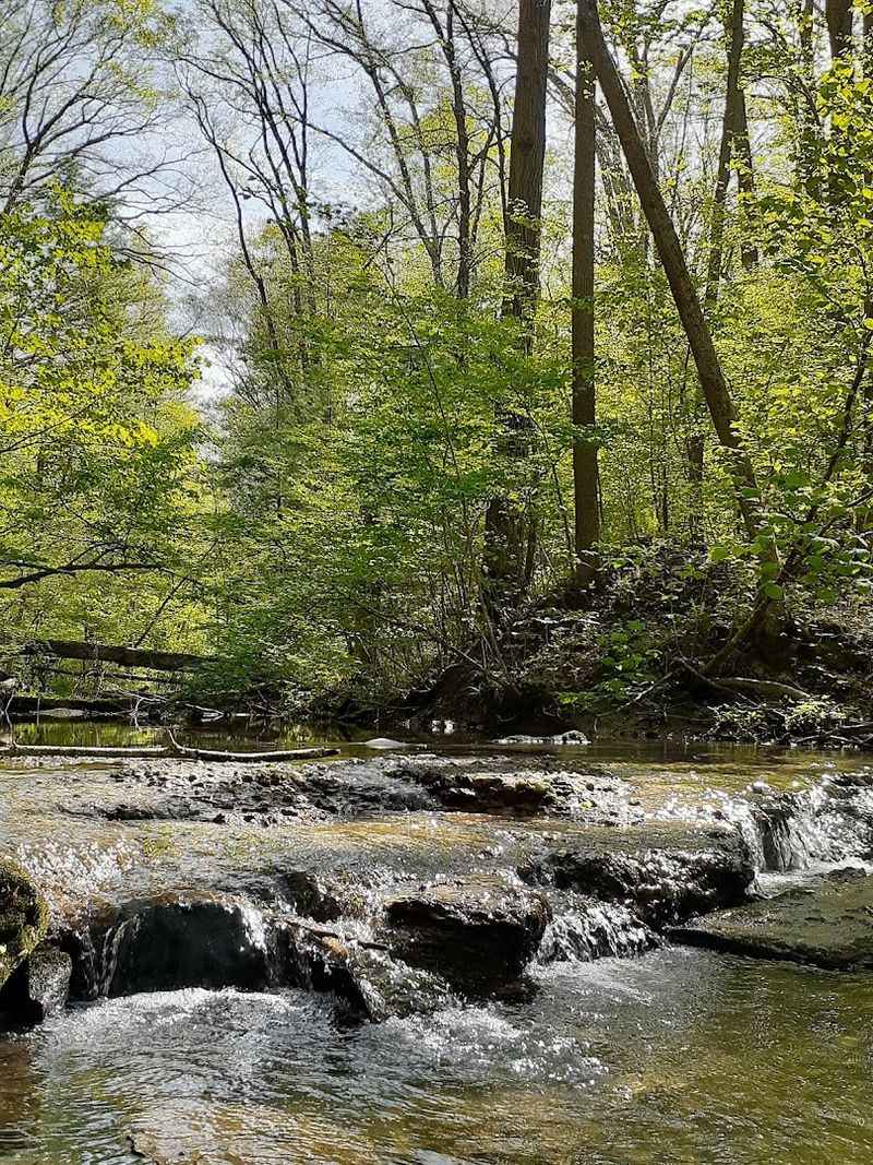 Christmas Rocks State Nature Preserve Trail 