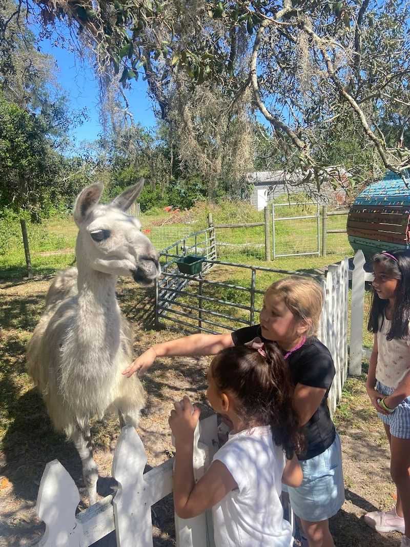 HarvestMoon Fun Farm