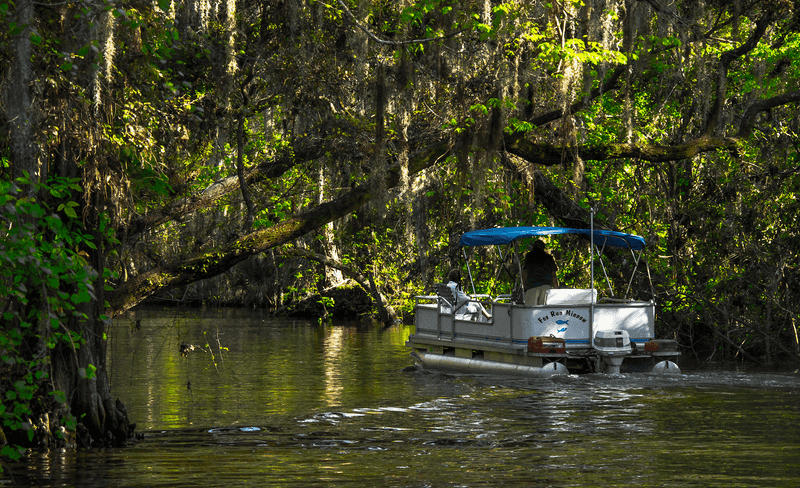 Gentle Movement Through Narrow Waterways