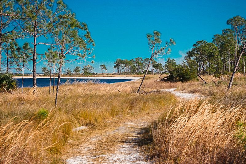 Nature Trails