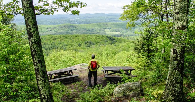 Beartown State Forest