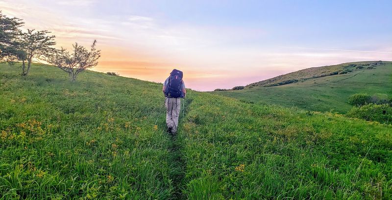 Roan Mountain &ndash; Roan Mountain Area