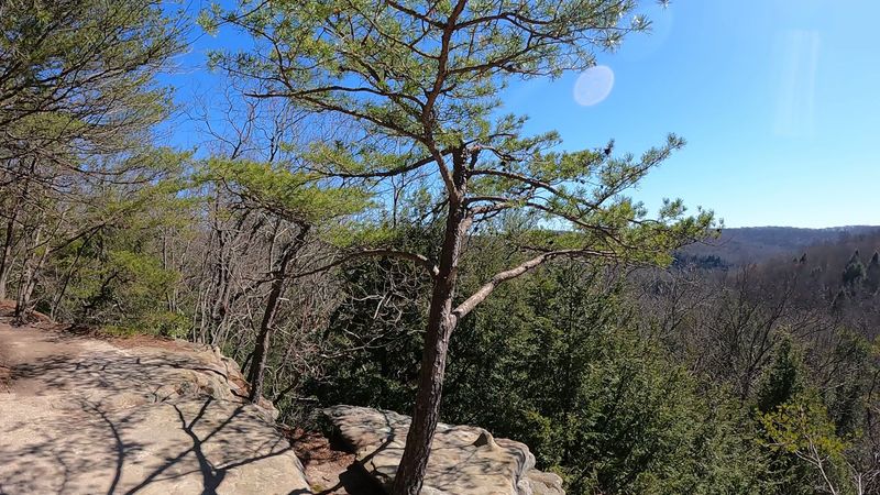 Panoramic Vista Overlooks