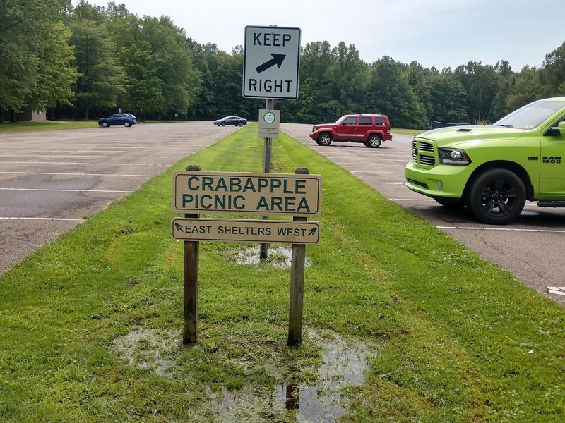Crabapple Picnic Area with Excellent Amenities