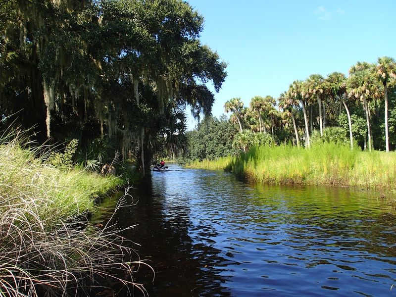 Econlockhatchee River (Central FL)