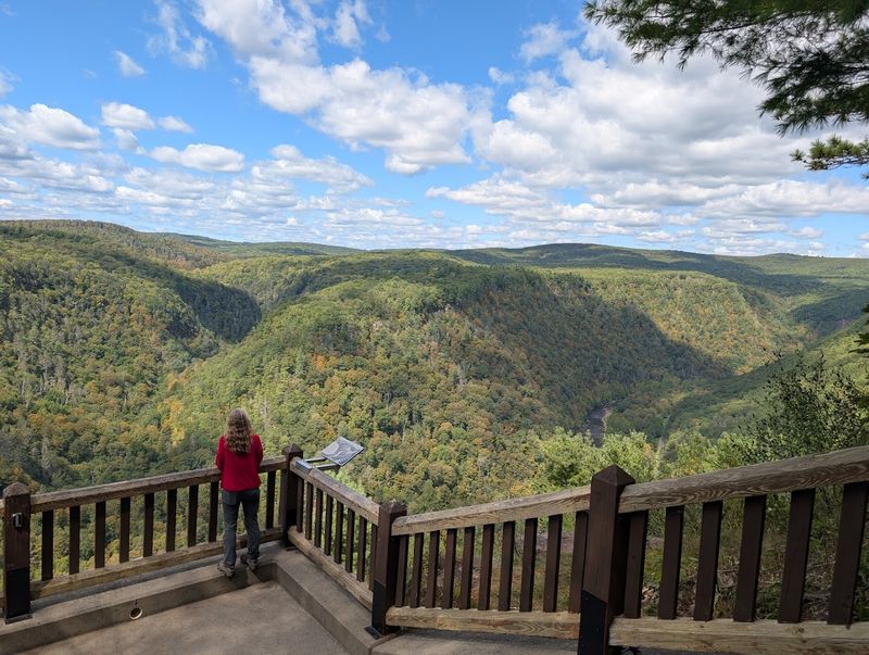 Picnic Areas Surrounded by Endless Forest
