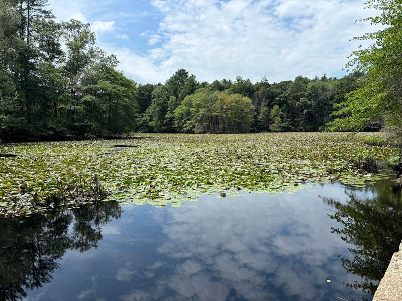 Blue Hills Skyline Trail – Milton