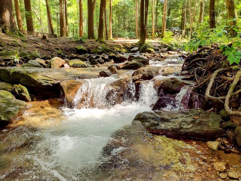 Vogel State Park - Blairsville, Union County