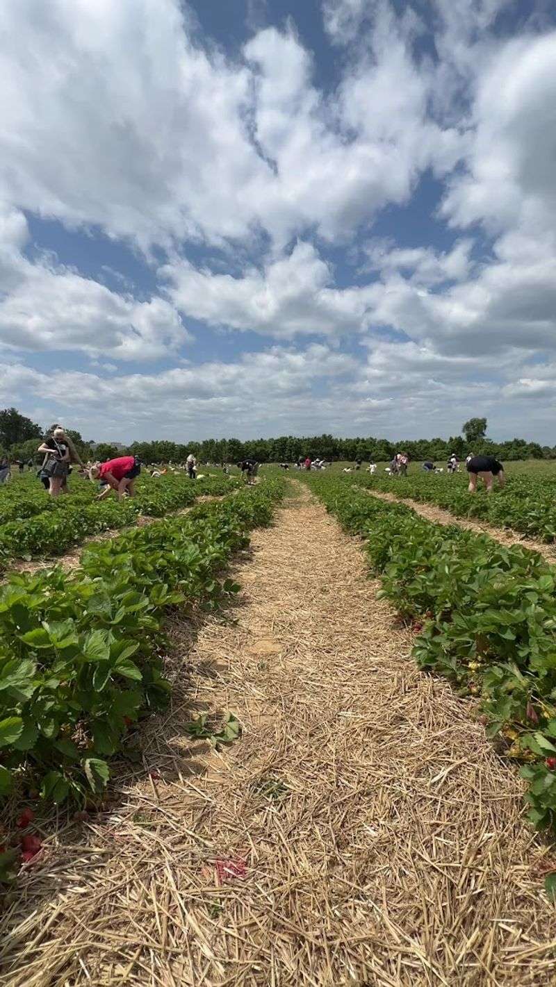 Sustainable Farming Practices
