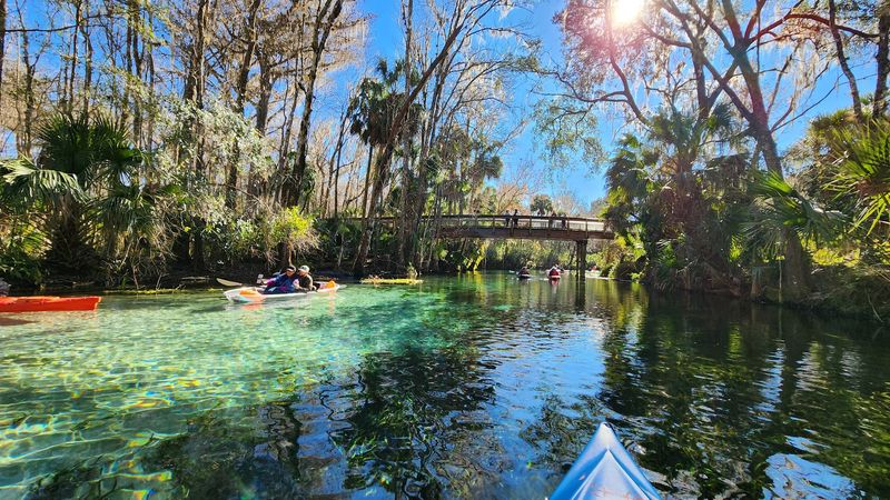 Family-Friendly Atmosphere Creates Lasting Memories