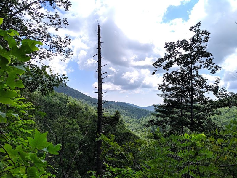 Raven Cliff Falls Trail (Chattahoochee National Forest)