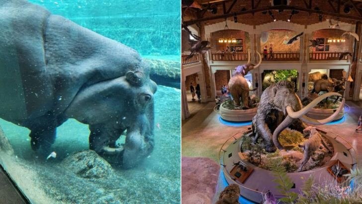 You Can Walk Through an Aquarium, an Aviary, and a Hippoquarium All in the Same Ohio Zoo