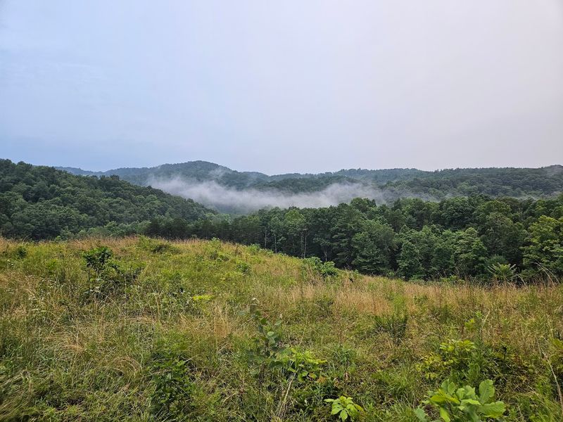 Wayne National Forest &ndash; Southeastern Ohio