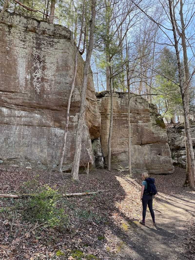 Wayne National Forest (southeastern Ohio)