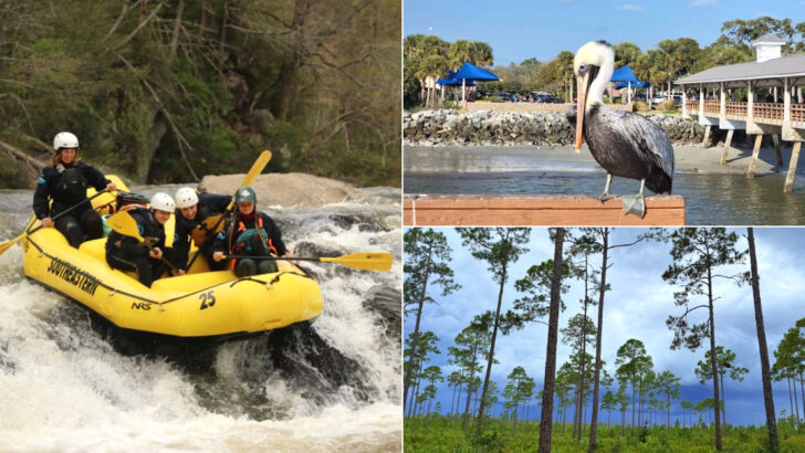 10 Affordable Georgia Road Trips That Make July Travel Easy And Cheap