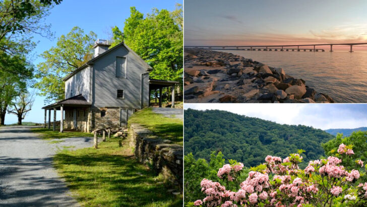 10 Affordable North Carolina Road Trips Made For Mountain And Coastal Views This July