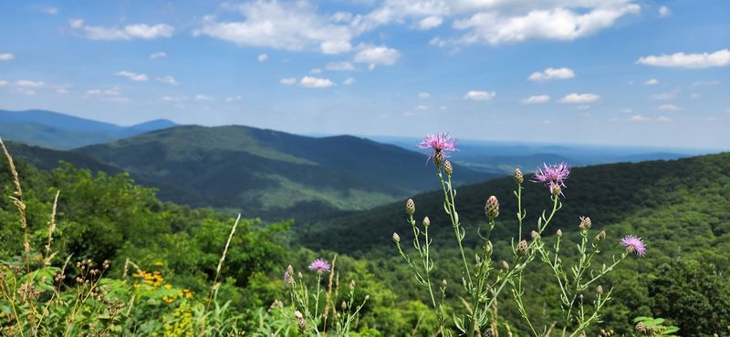 Skyline Drive through Shenandoah National Park, Front Royal, Warren County