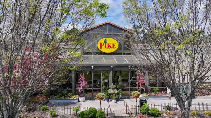 Pike Nurseries - Lindbergh