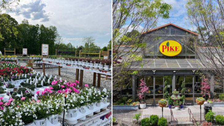 10 Beautiful Georgia Garden Centers Filled With Plants And Southern Hospitality