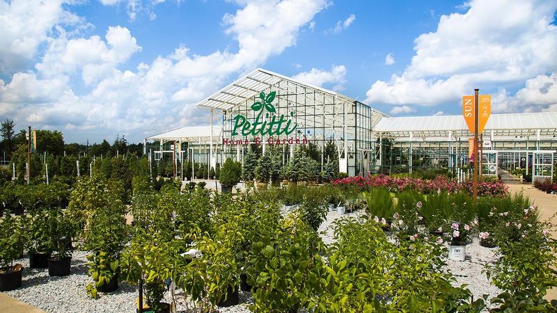 Petitti Garden Centers - Avon