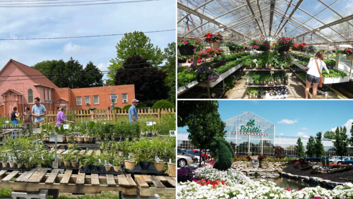 10 Beautiful Ohio Garden Centers Packed With Inspiration For Your Outdoor Space
