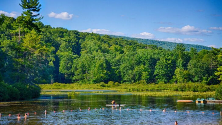 10 Best Swimming Spots In Pennsylvania To Cool Off During July’s Hottest Days