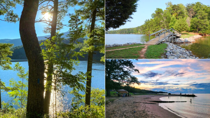 10 Best Swimming Spots In Virginia For Cooling Off During July