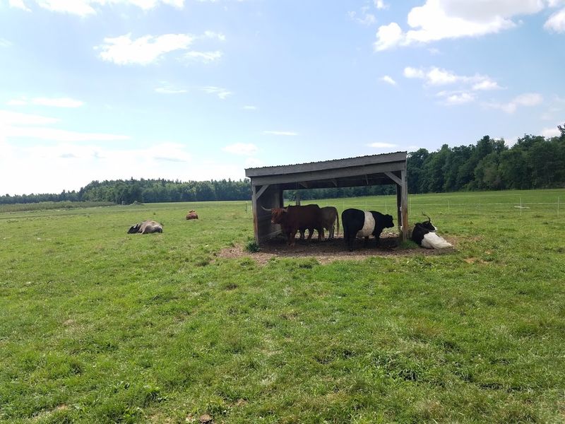 Davis Farmland (Sterling)