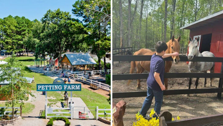 10 Biggest Animal Farms In Virginia That Offer Unforgettable Encounters With Farm Animals