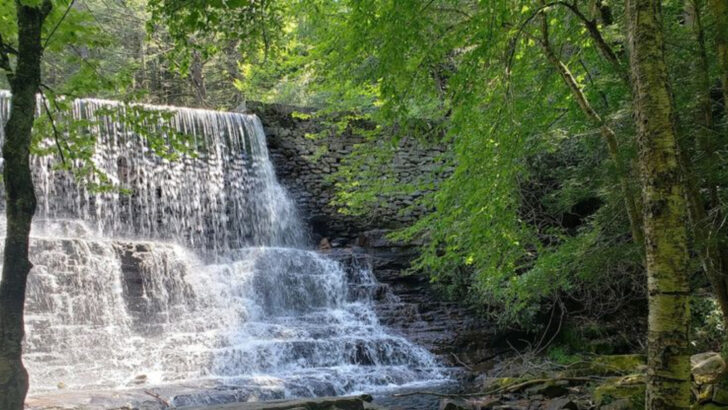 10 Biggest Parks In Pennsylvania That Feel Like Endless Wilderness