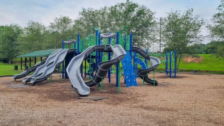 10 Biggest Playgrounds in Georgia That Kids And Parents Both Love