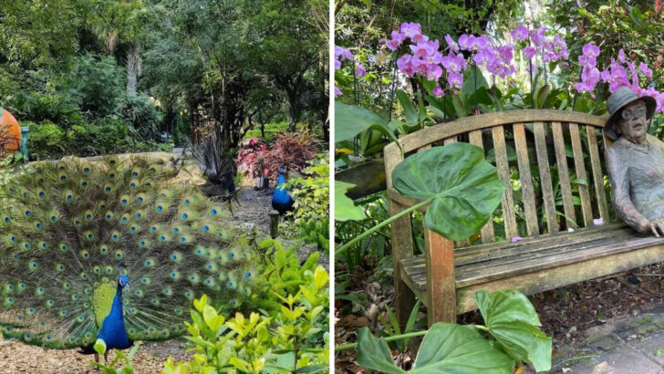10 Botanical Gardens In Florida That Feel Like Tropical Paradise Walks