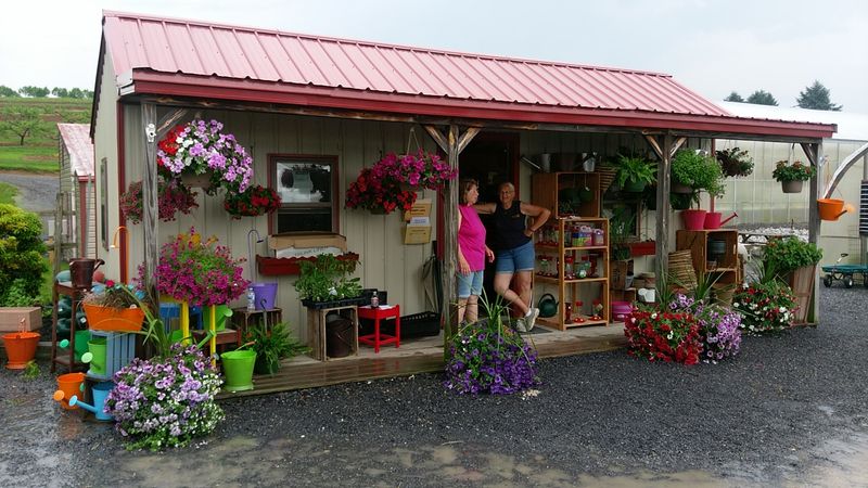 Taylor's Greenhouse