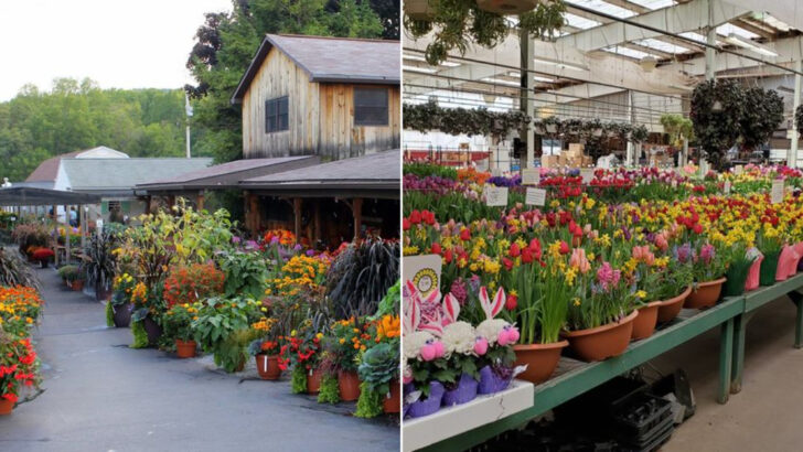 10 Charming Pennsylvania Garden Markets Filled With Seasonal Color And Local Finds