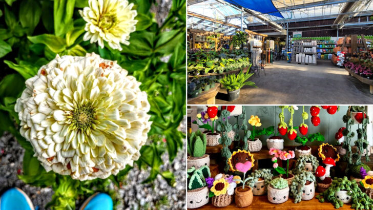 10 Connecticut Garden Markets That Make Plant Shopping Feel Like A Day Trip