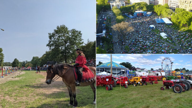 10 Connecticut Outdoor Festivals Worth Experiencing This Summer