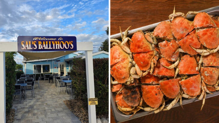 10 Florida All-You-Can-Eat Crab Houses Everyone Talks About After Vacation