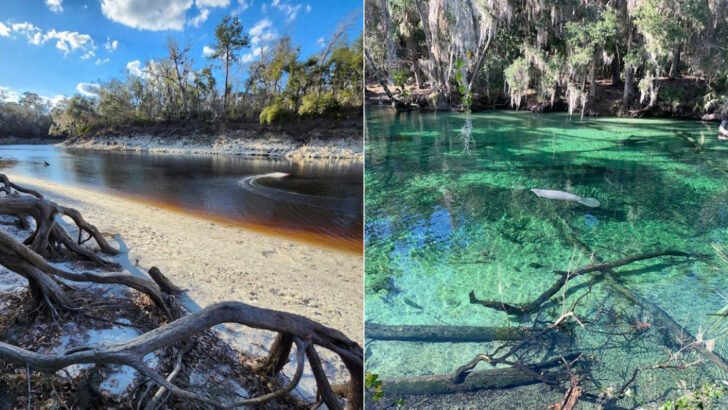 10 Florida Mineral Springs With Histories As Refreshing As Their Waters