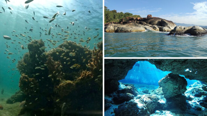10 Florida Snorkeling Spots With Water So Clear You’ll Forget You’re In The U.S.