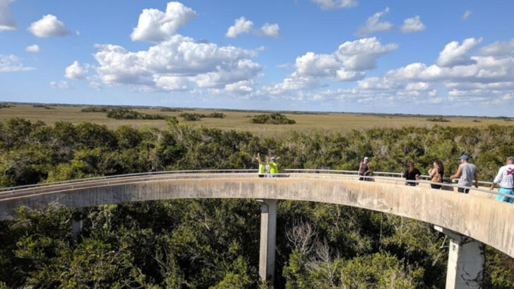 10 Florida Trails That Will Completely Change The Way You See The State