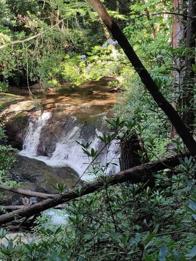 Raven Cliff Falls 