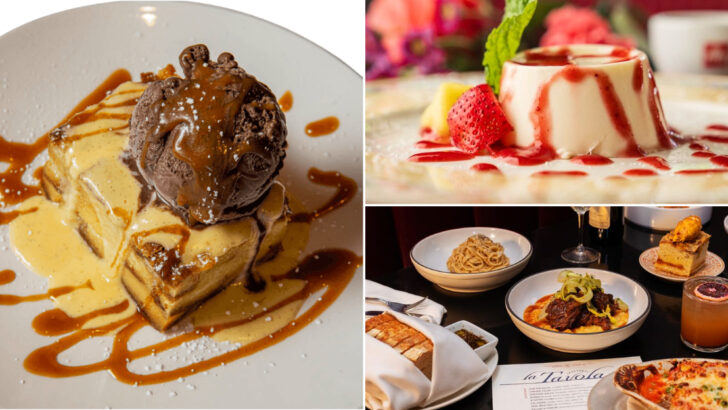 10 Georgia Restaurants Serving Tiramisu That Rival Classic Italian Bakeries
