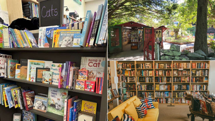 10 Hidden Bookstores In Connecticut That Belong On Every Reader&rsquo;s Bucket List
