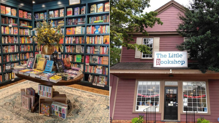 10 Hidden Bookstores In Virginia Every Book Lover Should Discover