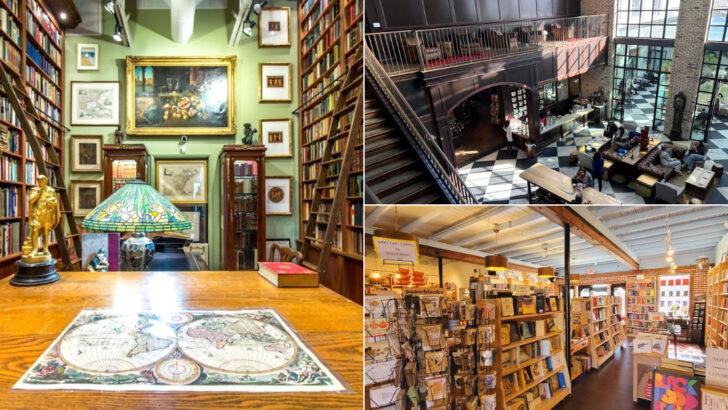10 Hidden Bookstores in Georgia That Book Lovers Can Spend Hours Exploring