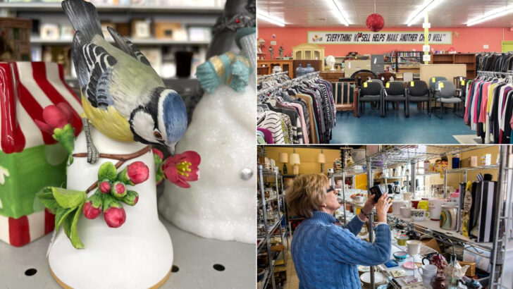 10 Hidden Thrift Stores in Virginia Packed With Unexpected Treasures
