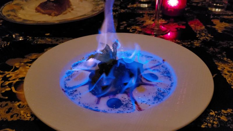 L'Opossum - Richmond, Richmond City