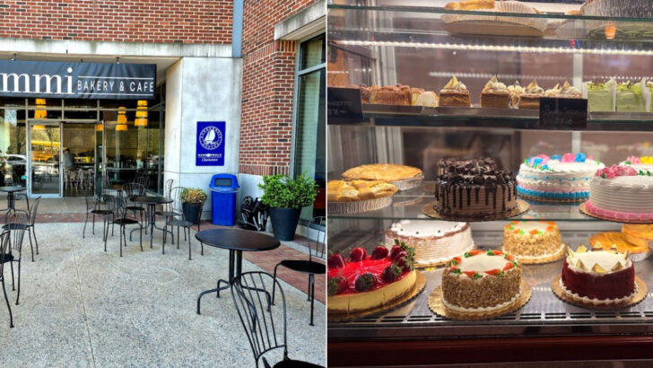 10 Massachusetts Carrot Cake Spots That Turn A Classic Dessert Into Something Special