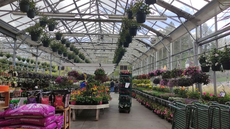 Briggs Garden & Cafe